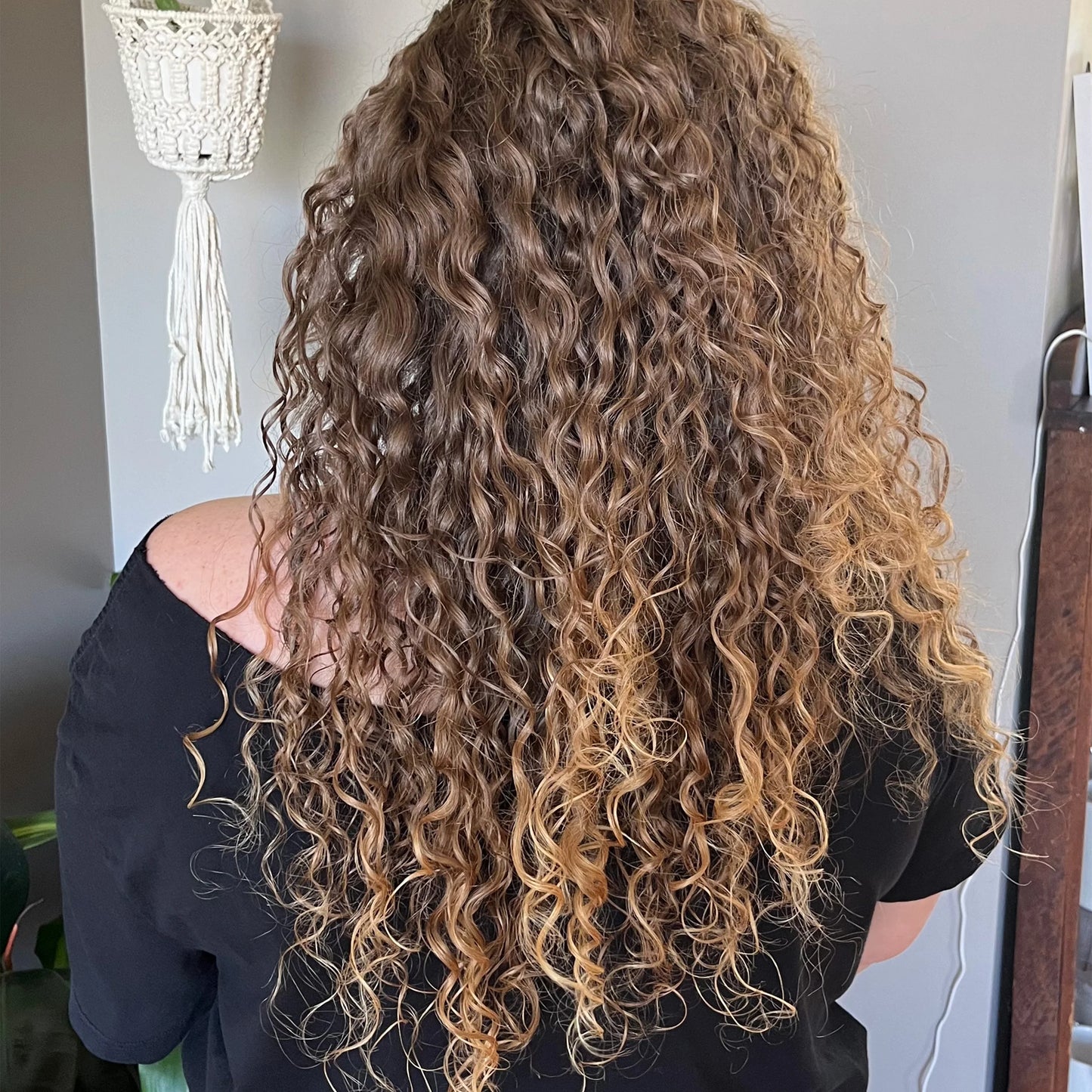 Alcove Curl Activator